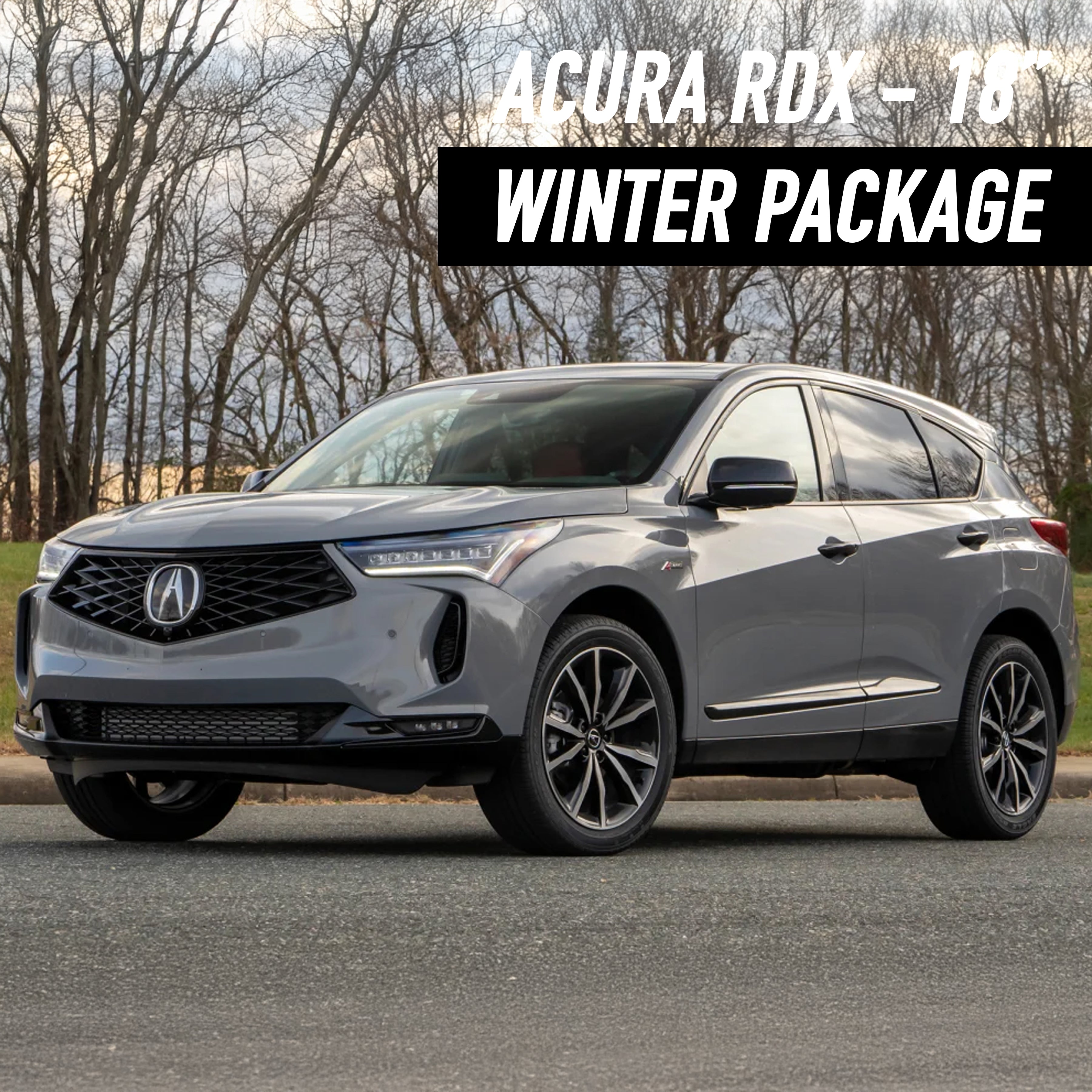 Acura RDX 18" Winter Package
