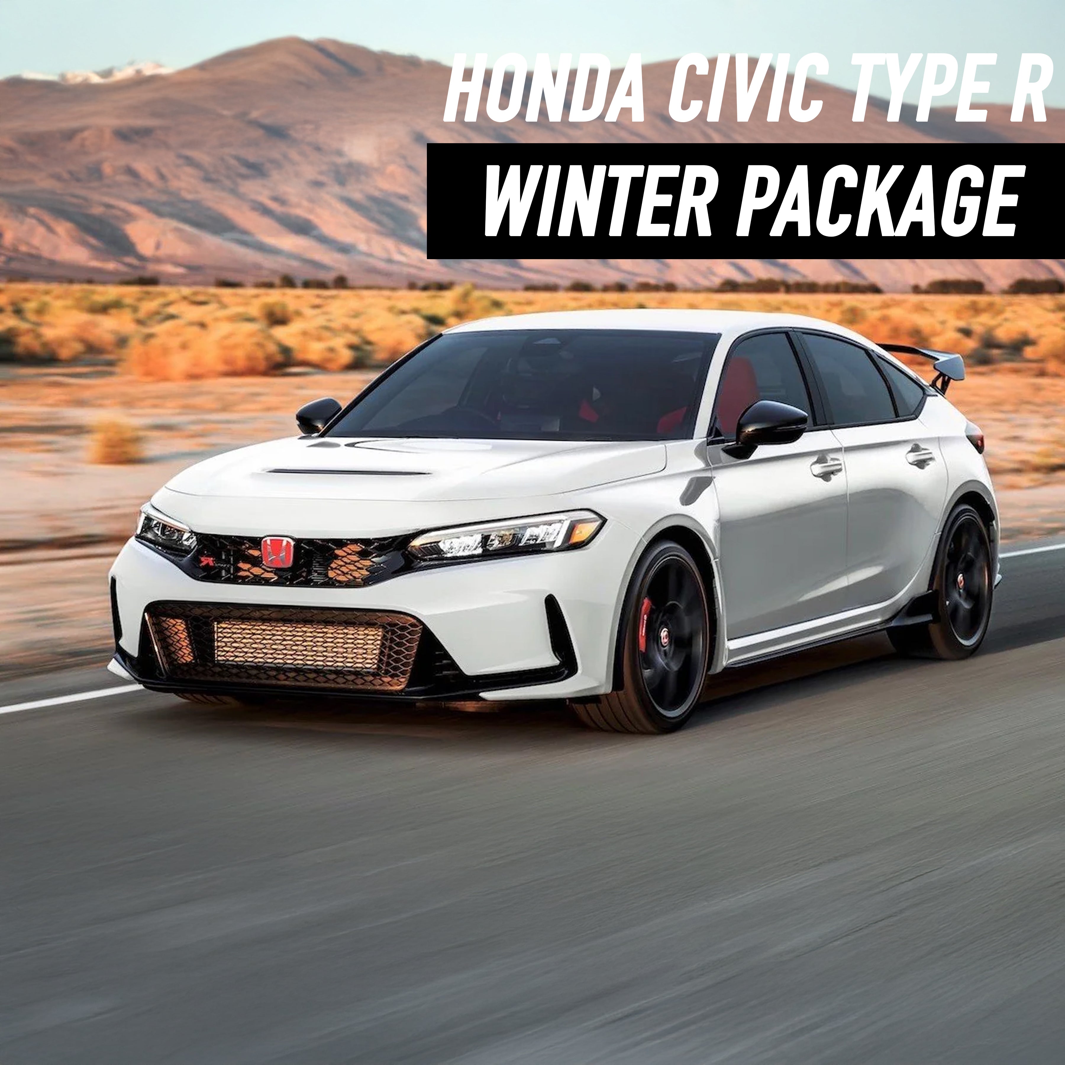 Honda Civic Type-R Winter Package