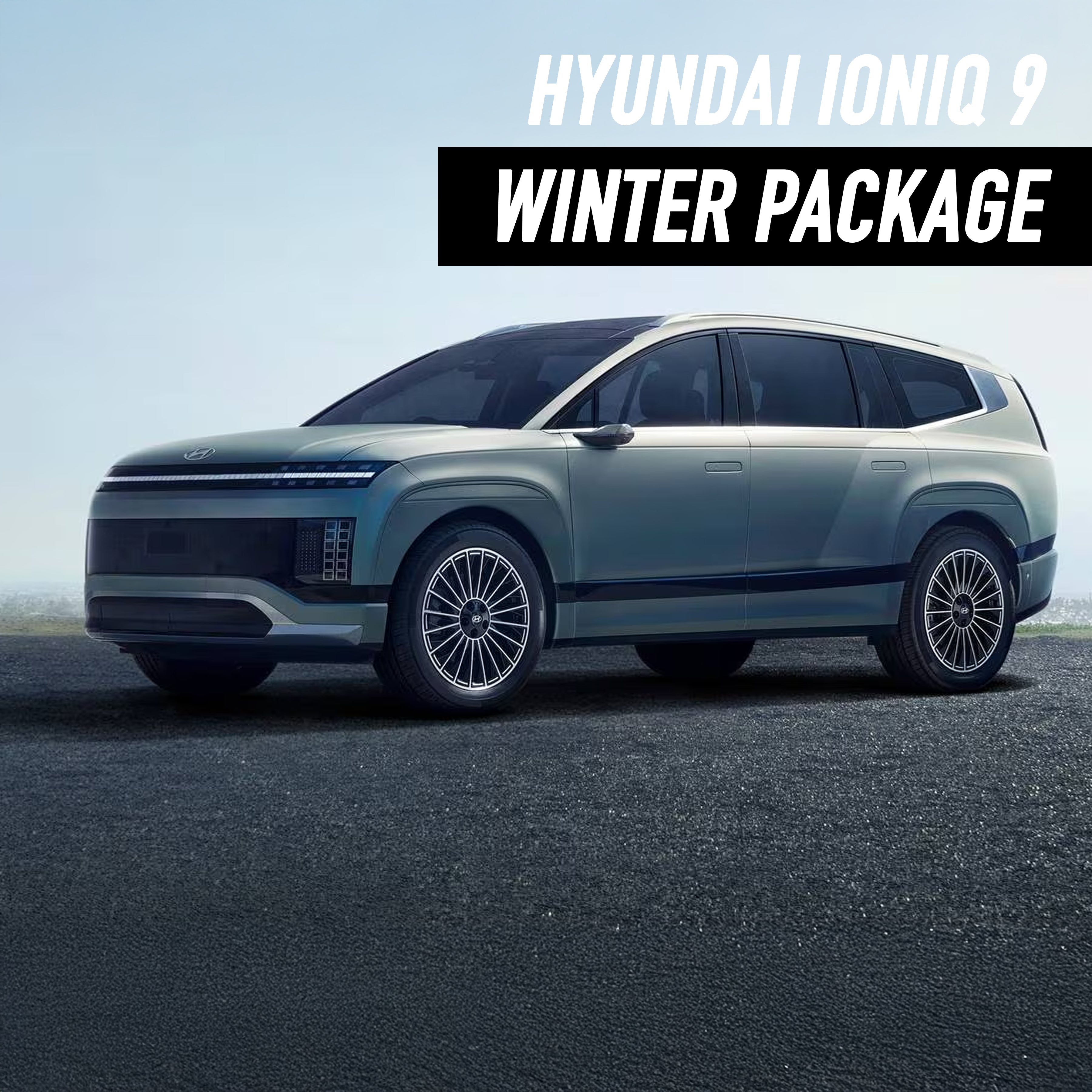 Hyundai Ioniq 9 Winter Package
