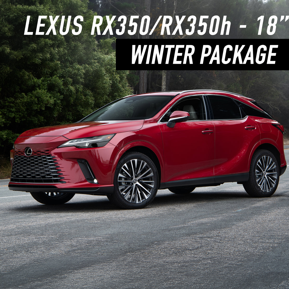Lexus RX350/RX350h 18" Winter Package