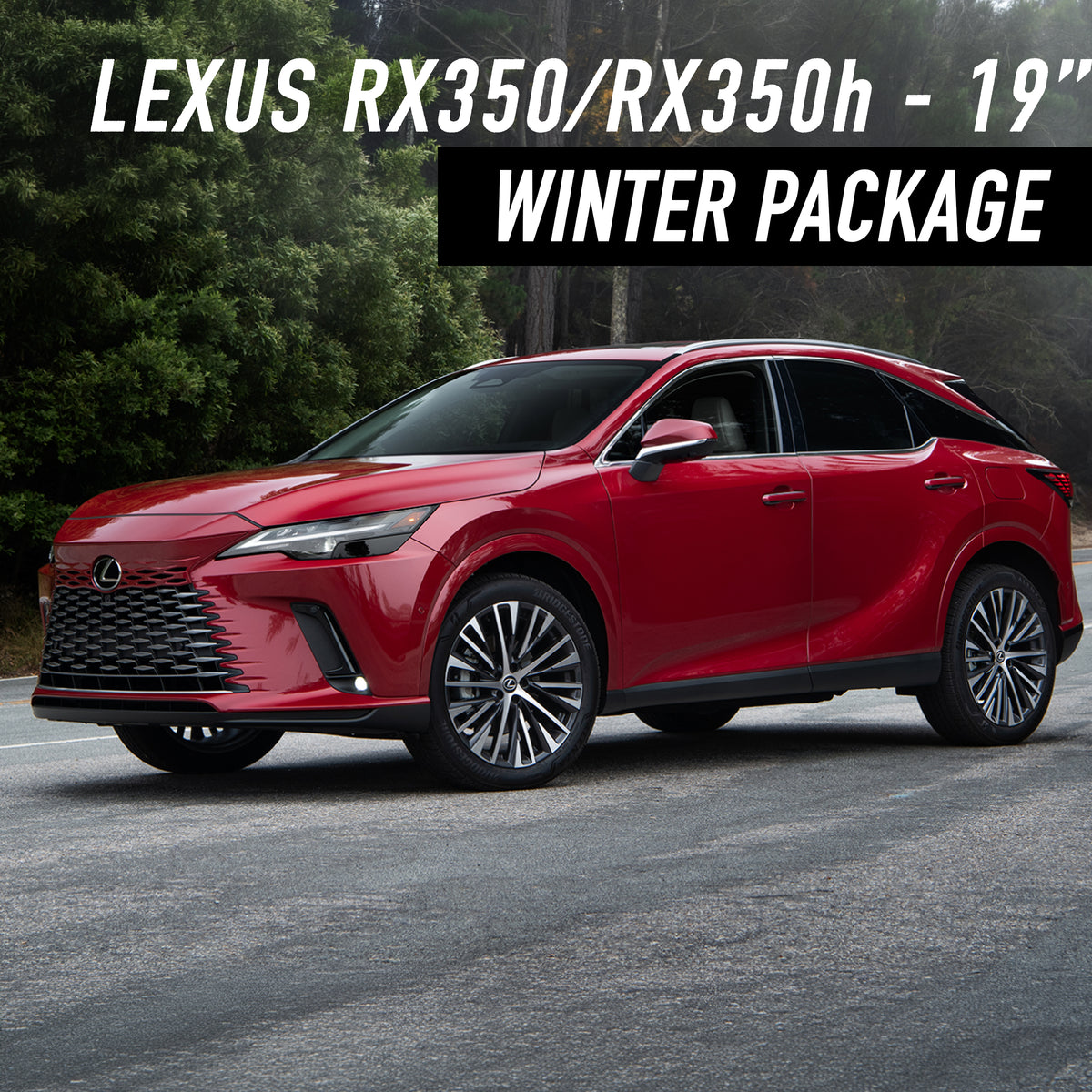 Lexus RX350/RX350h 19" Winter Package