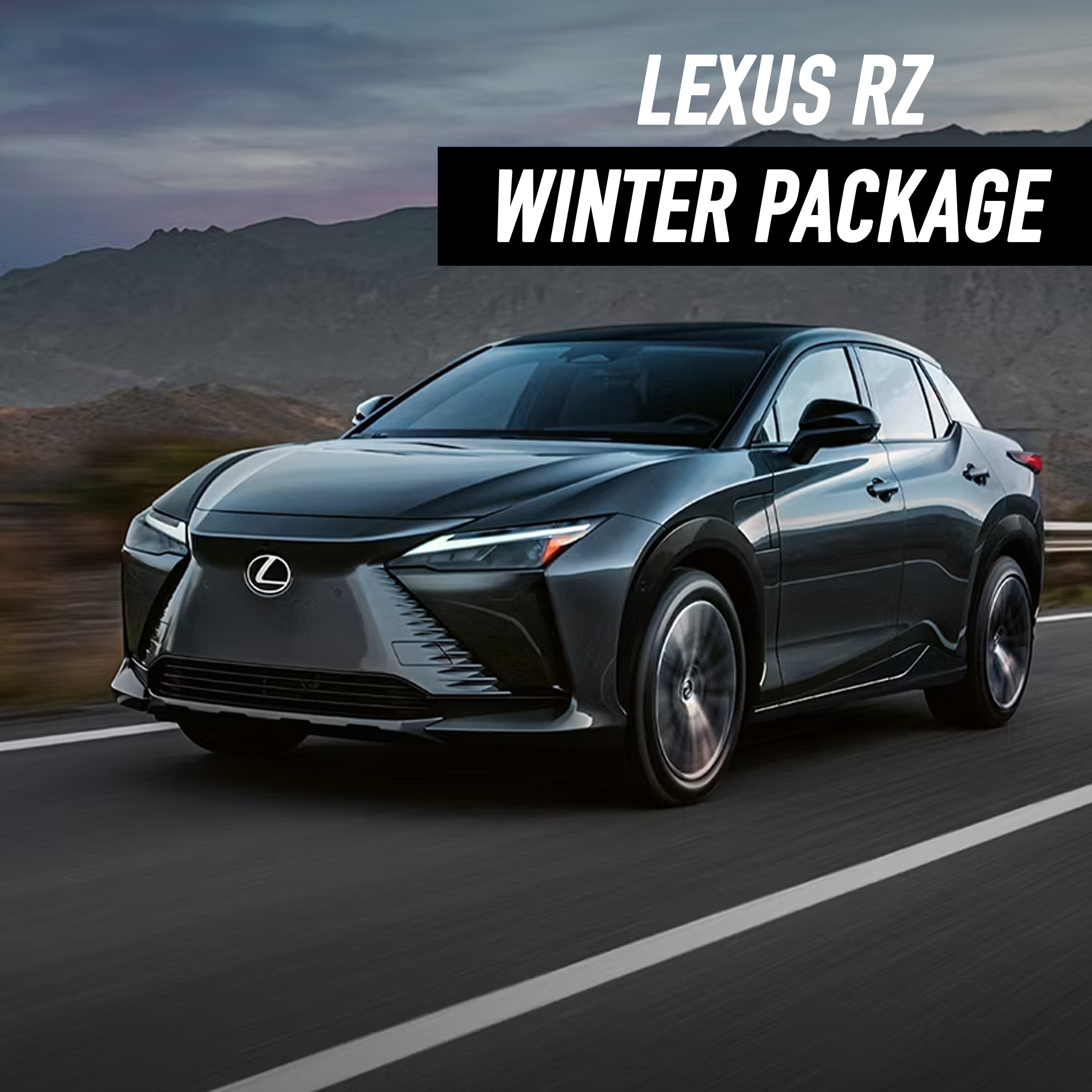 Lexus RZ Winter Package