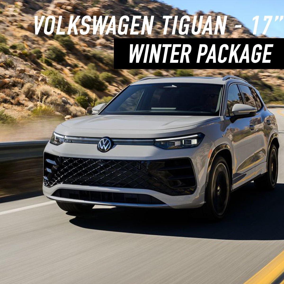 Volkswagen Tiguan 17" Winter Package