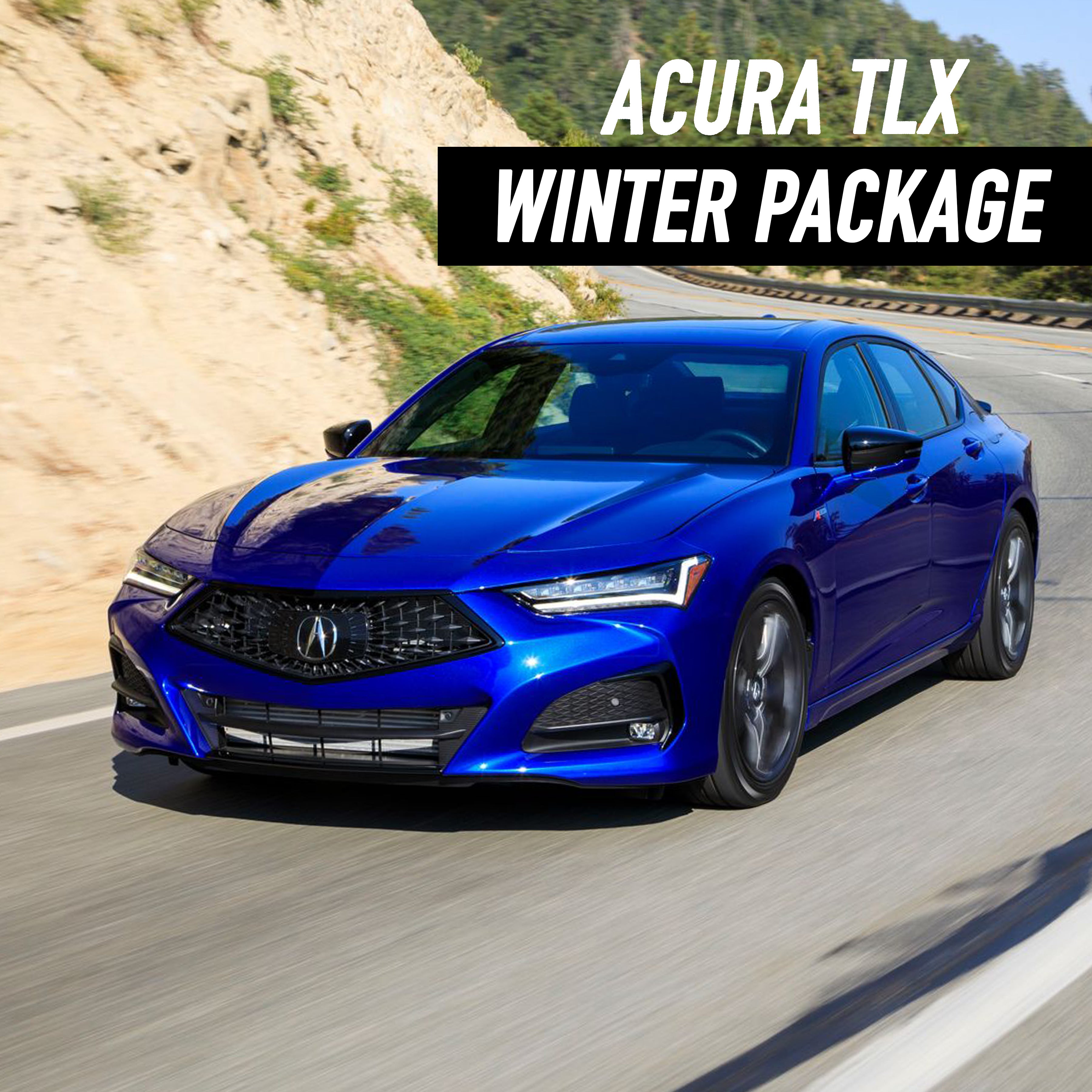 Acura TLX 17" Winter Package