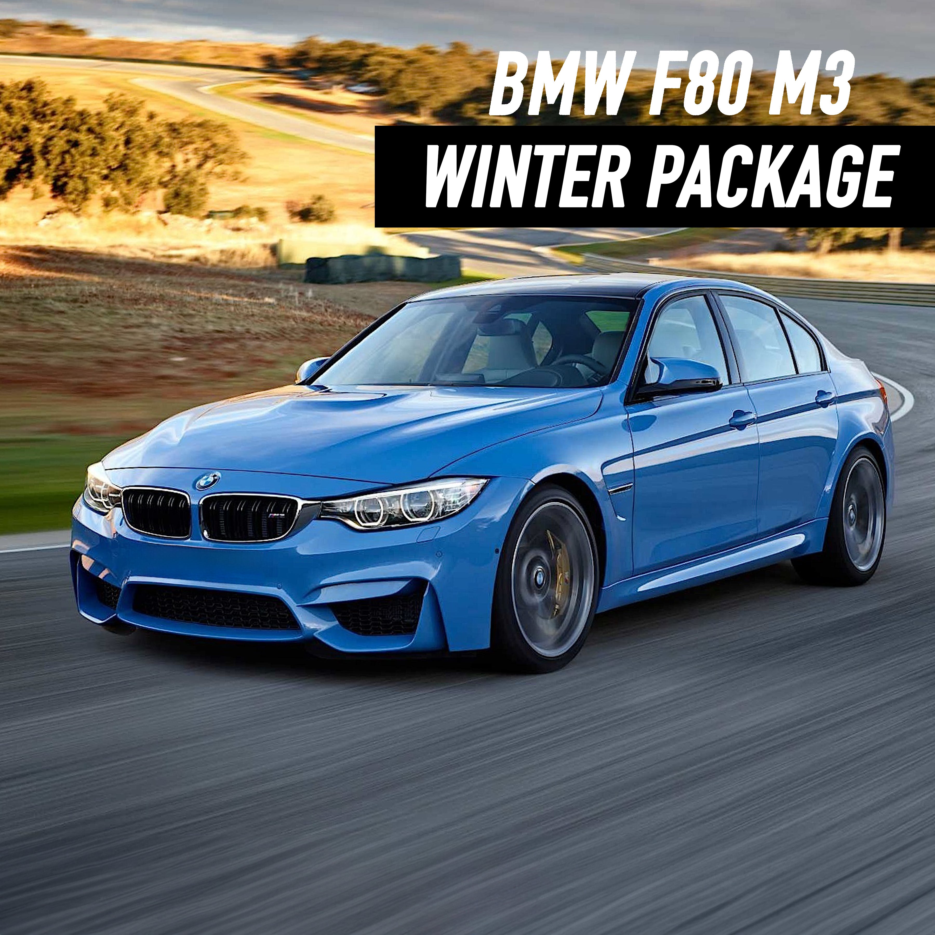 BMW M3 (F80 2015-2018) Winter Package