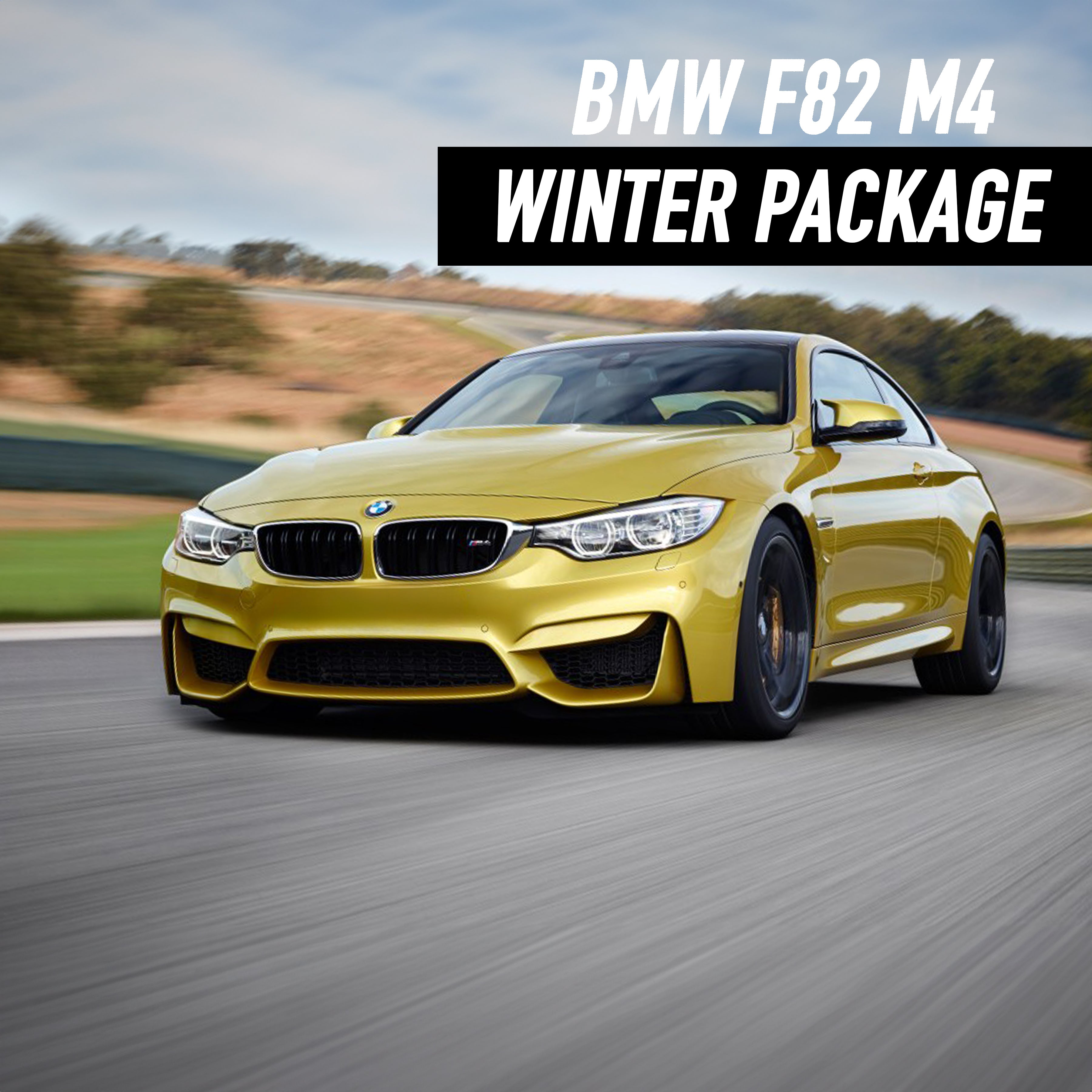BMW M4 (F82 2015-2020) Winter Package