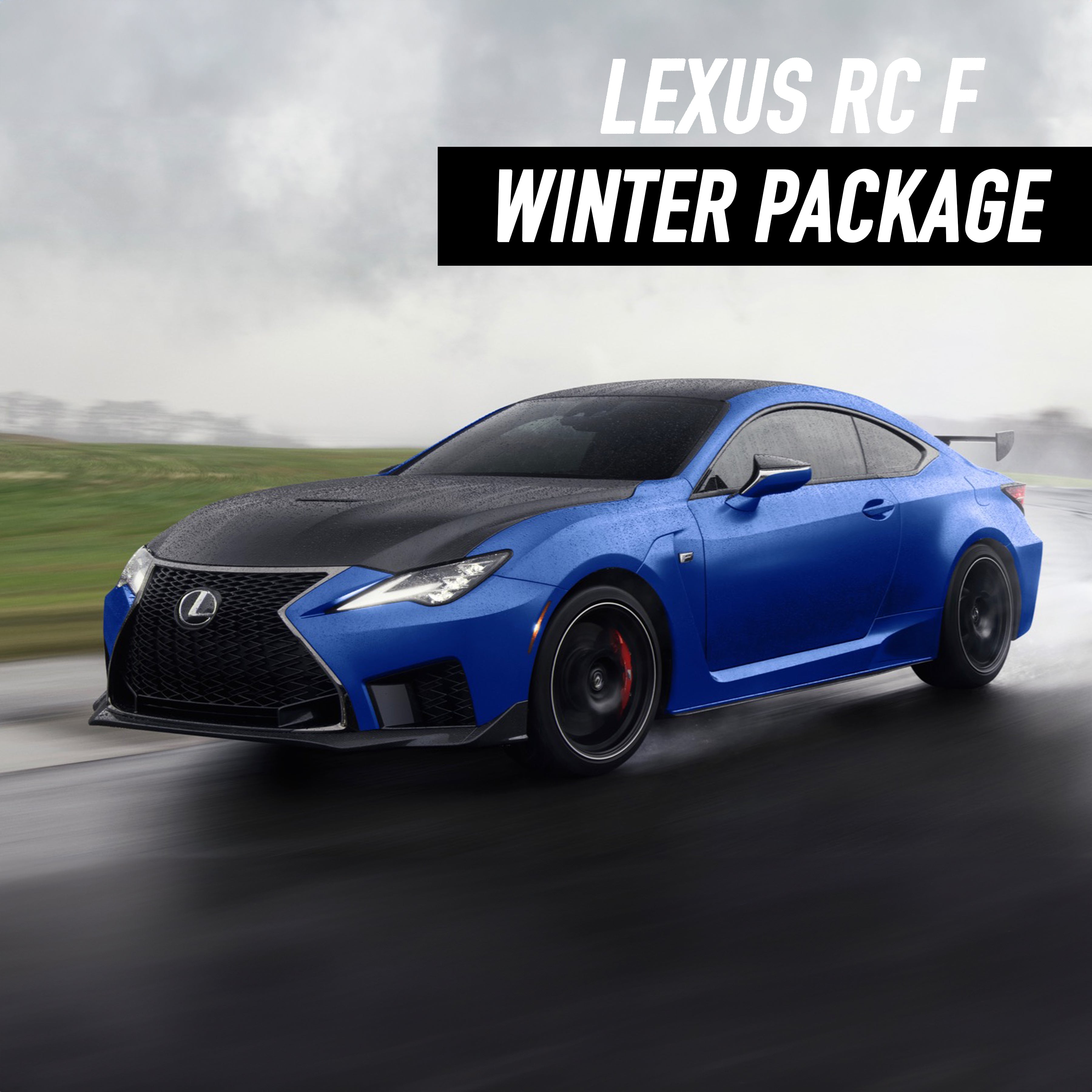 Lexus RC F Winter Package
