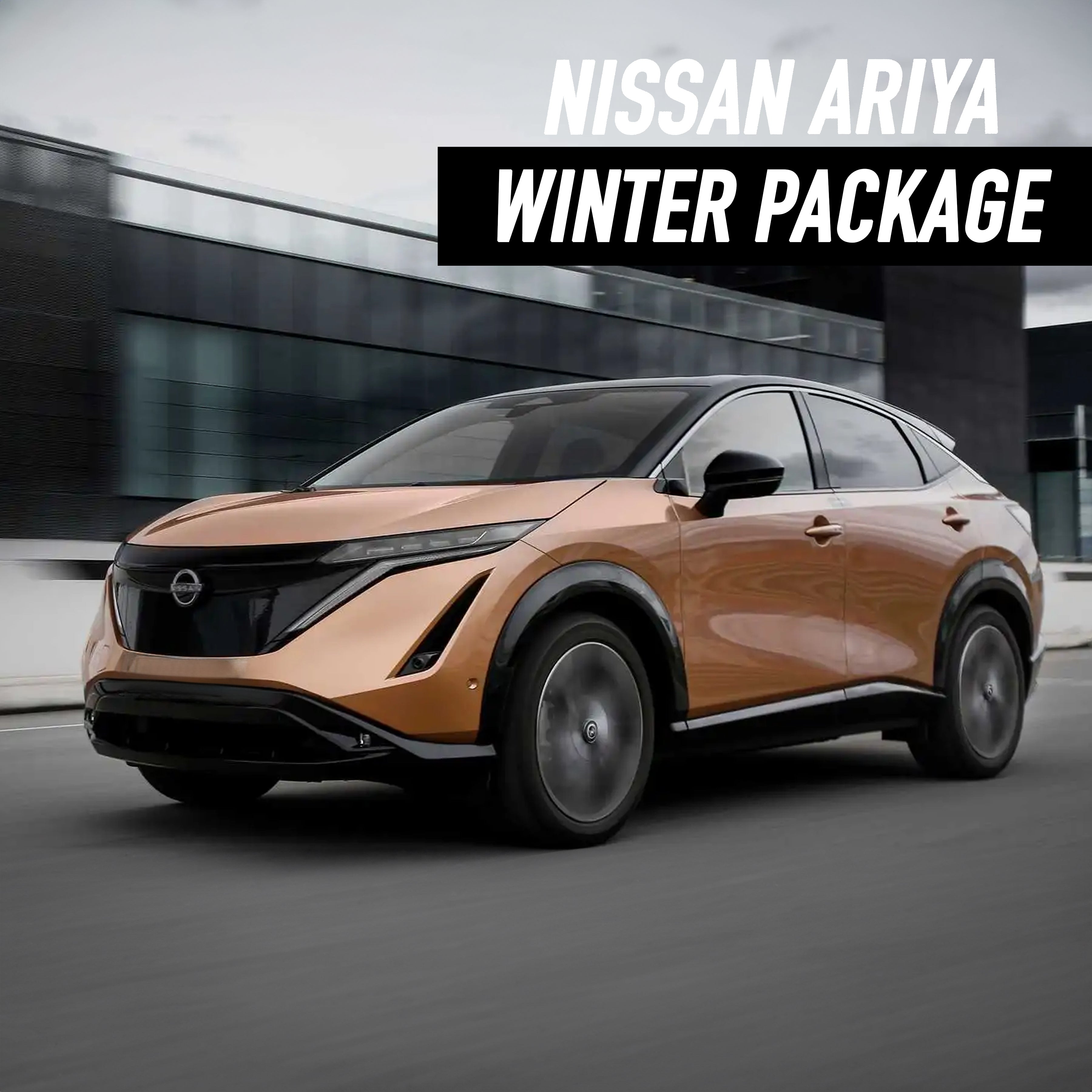 Nissan Ariya Winter Package
