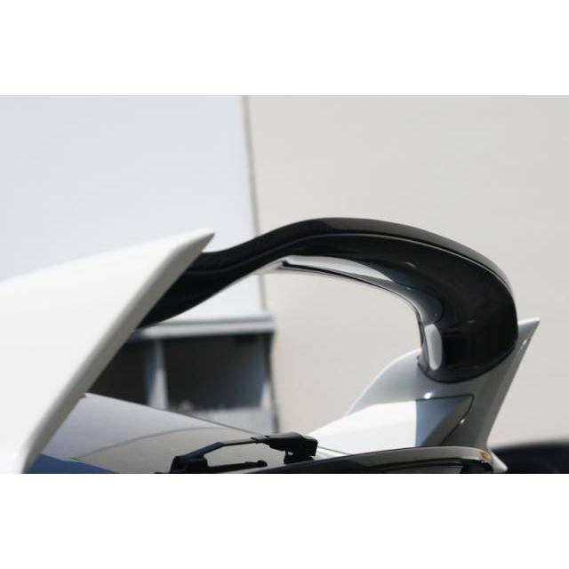 EVS Tuning Carbon Rear Gurney Flap (OE Fit) for Honda Civic Type R FK8 - T1 Motorsports