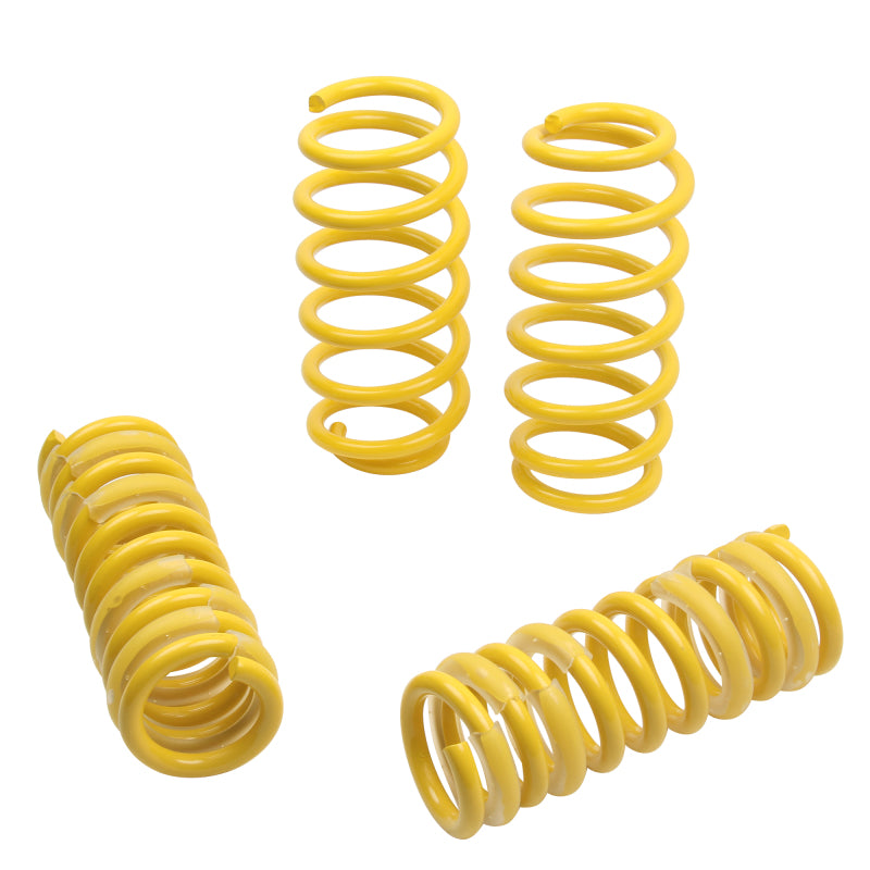 ST Sport-tech Lowering Springs Chrysler 300C 2WD / Dodge Charger Magnum - T1 Motorsports