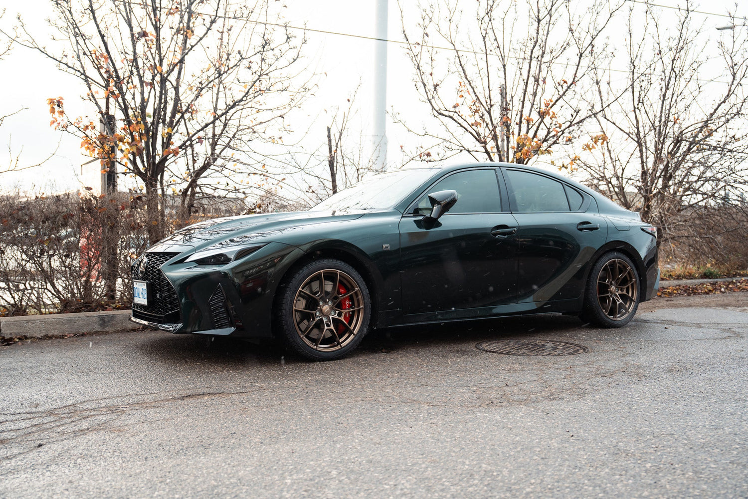 Lexus IS500 x FF06 FlowForm Bronze