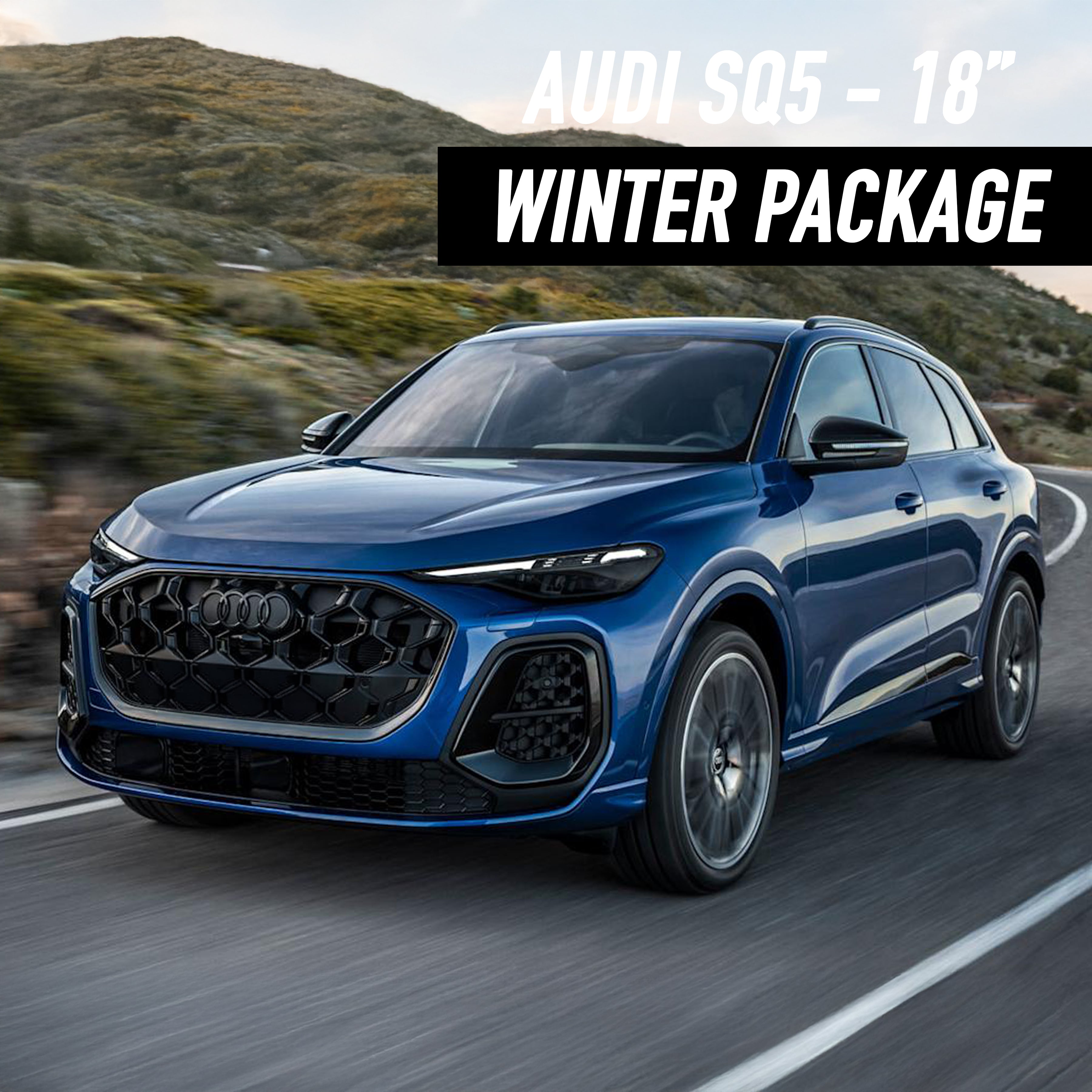 Audi SQ5 18" Winter Package