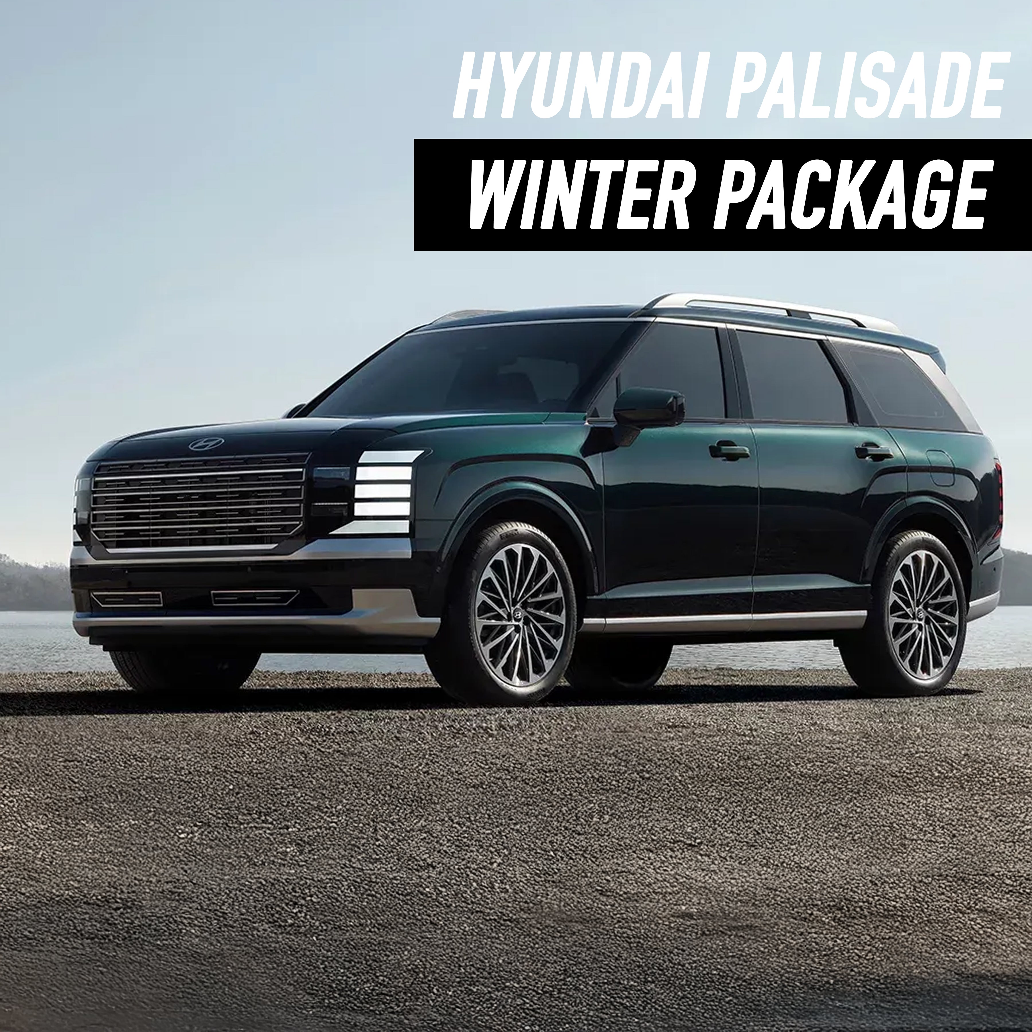 Hyundai Palisade Winter Package