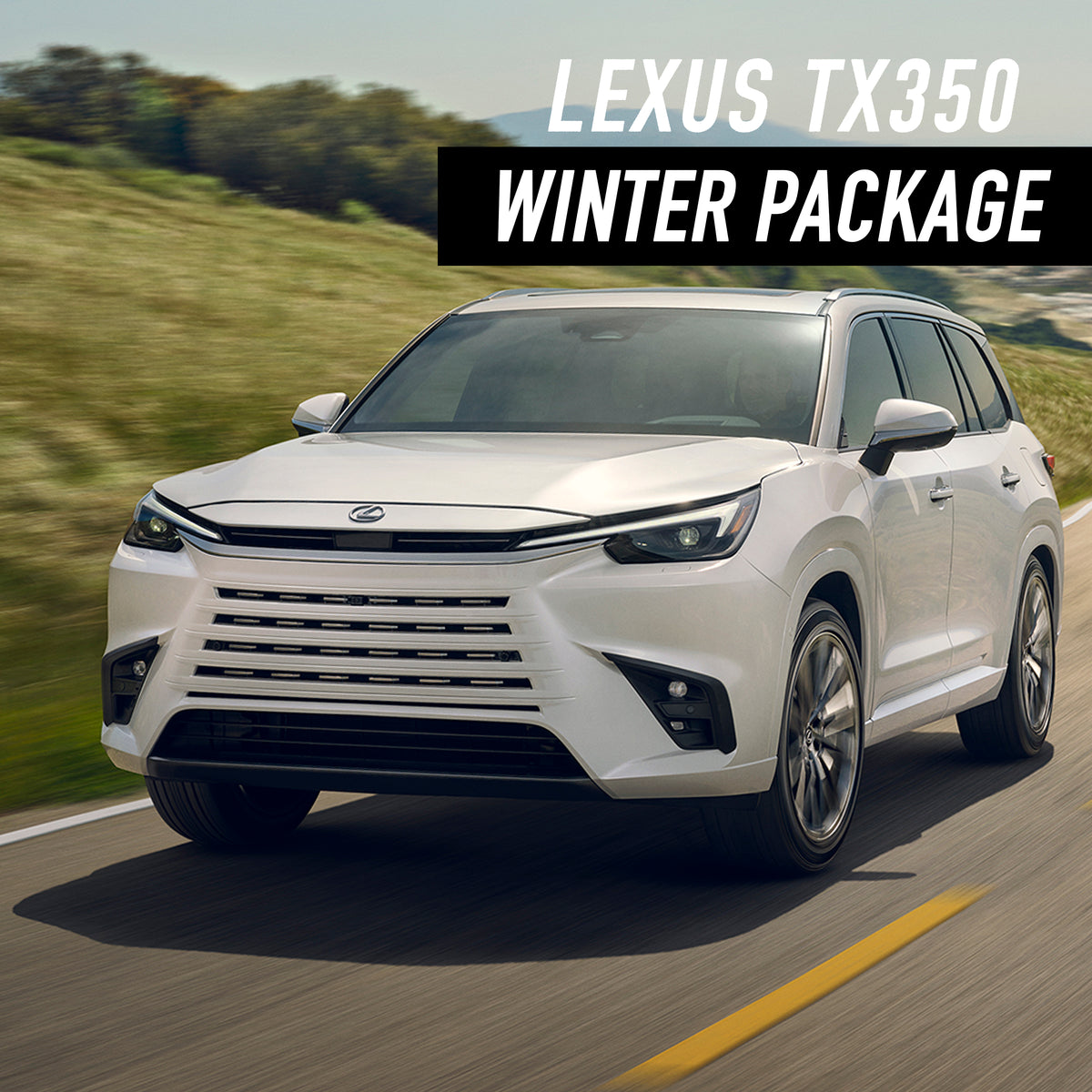Lexus TX350 Winter Package