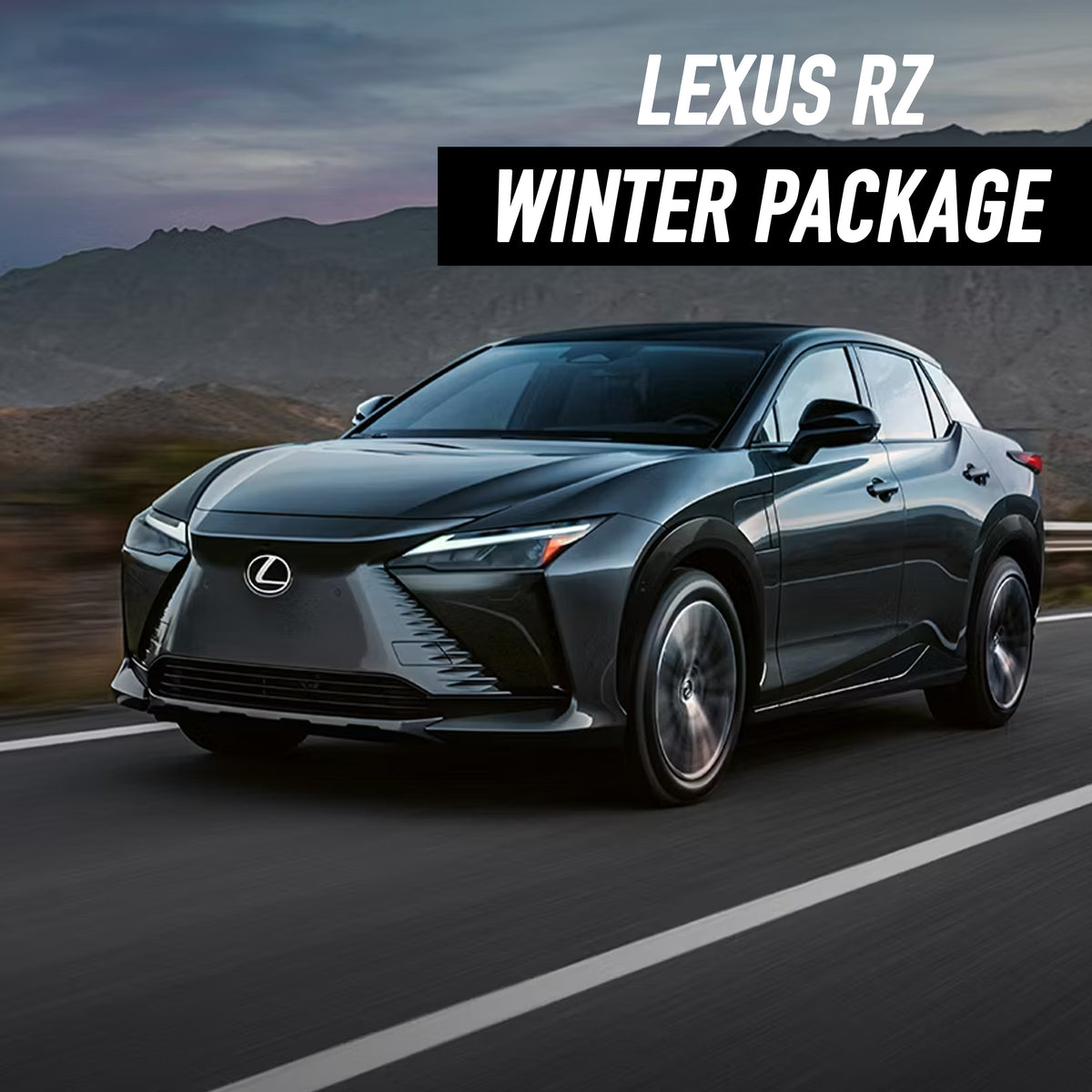 Lexus RZ Winter Package