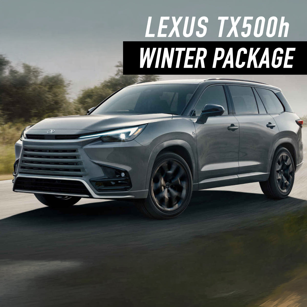 Lexus TX500h Winter Package
