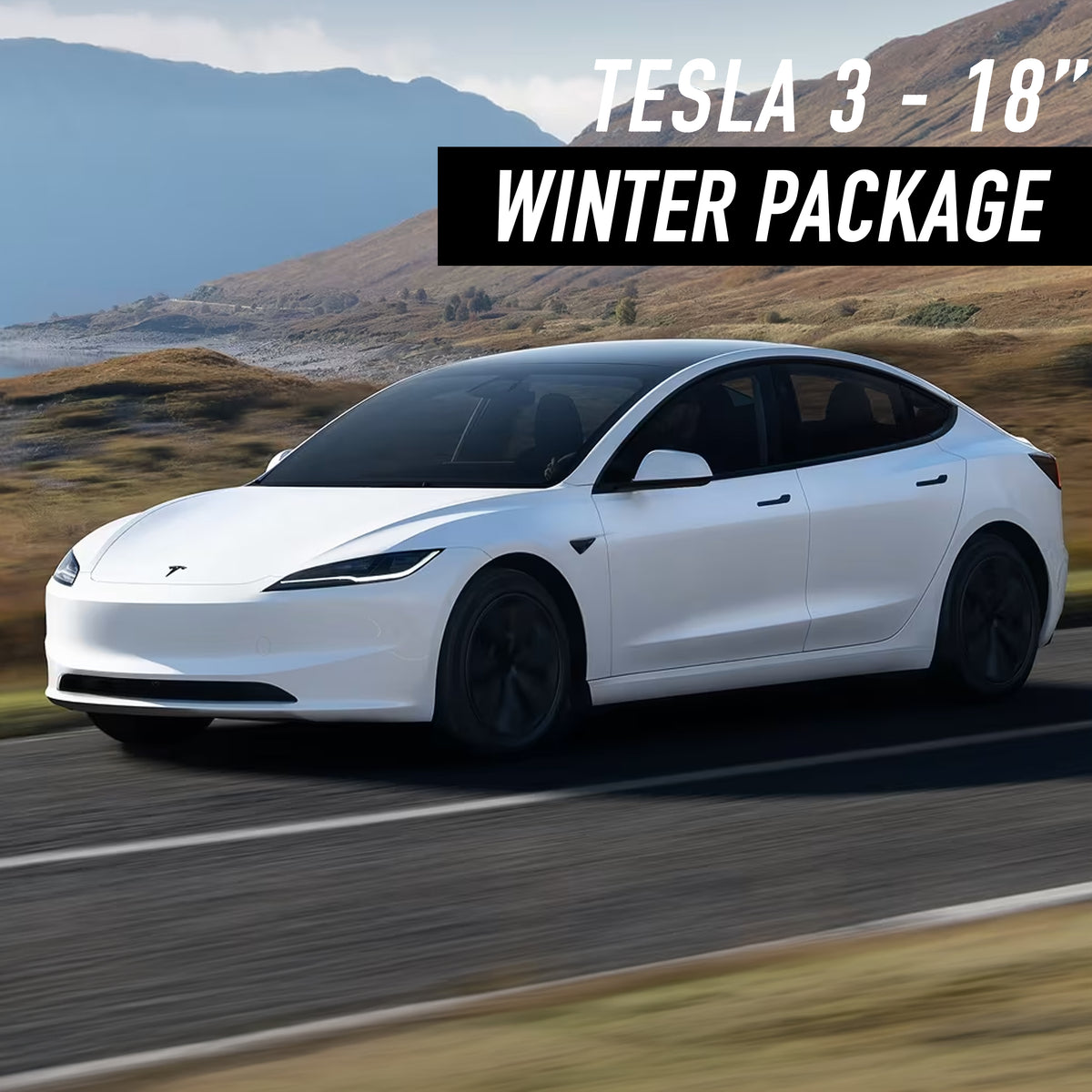 Tesla Model 3 18" Winter Package