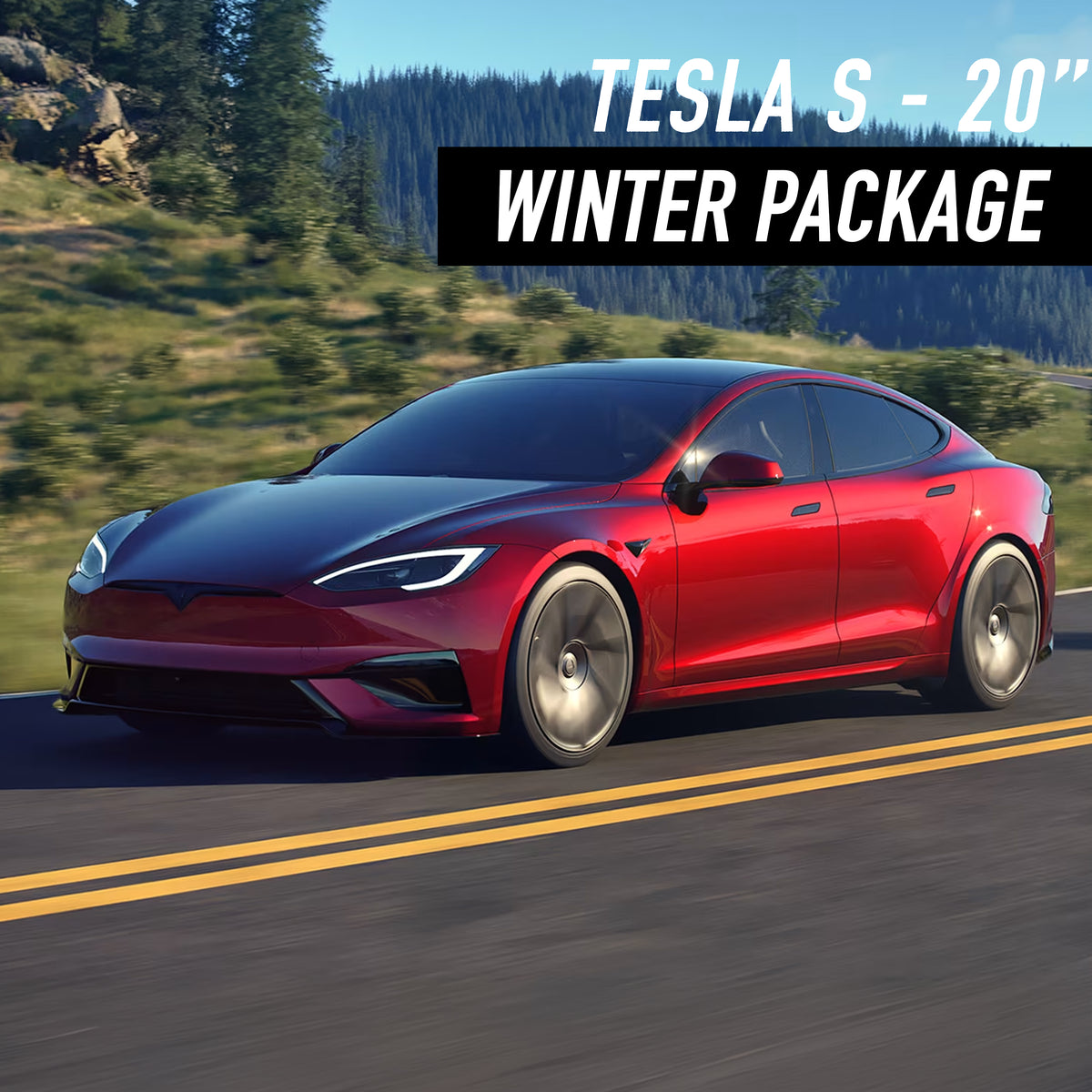 Tesla Model S 20" Winter Package