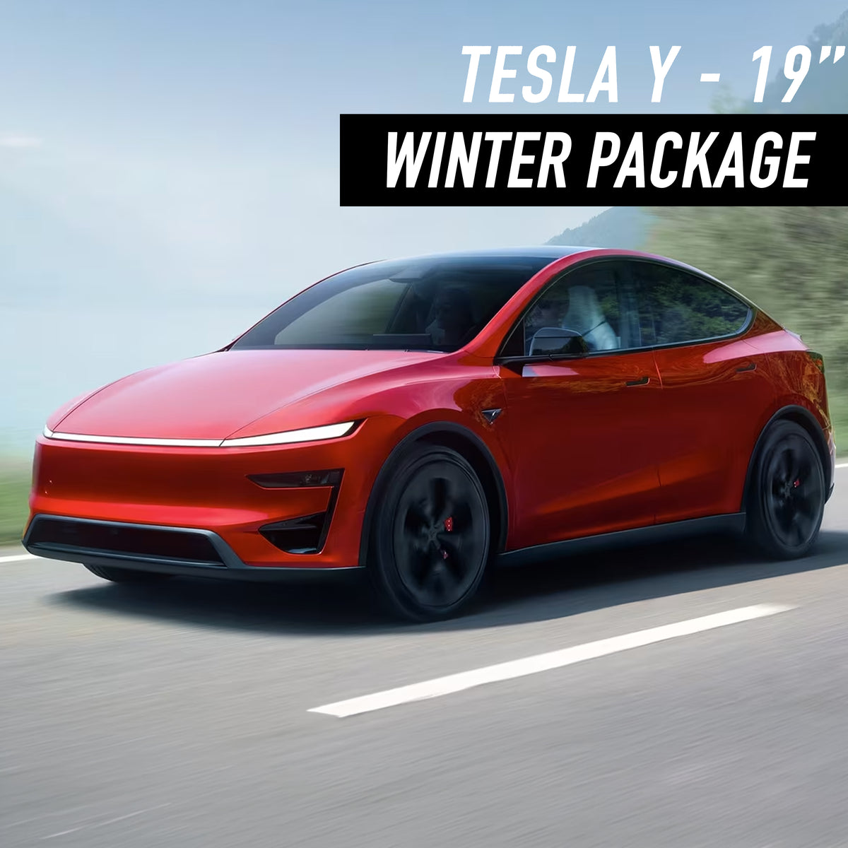 Tesla Model Y 19" Winter Package