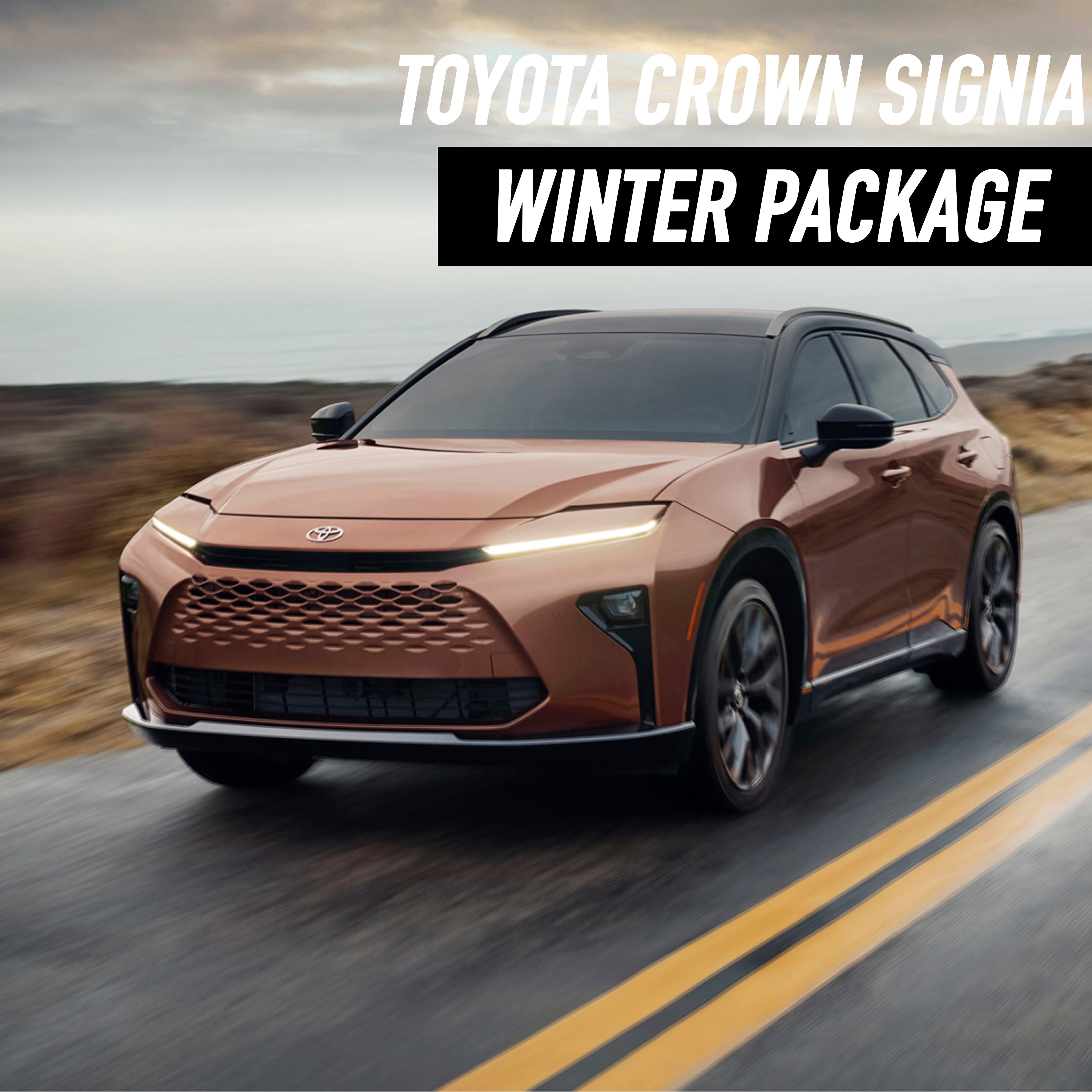 Toyota_Crown_Signia.jpg?v=