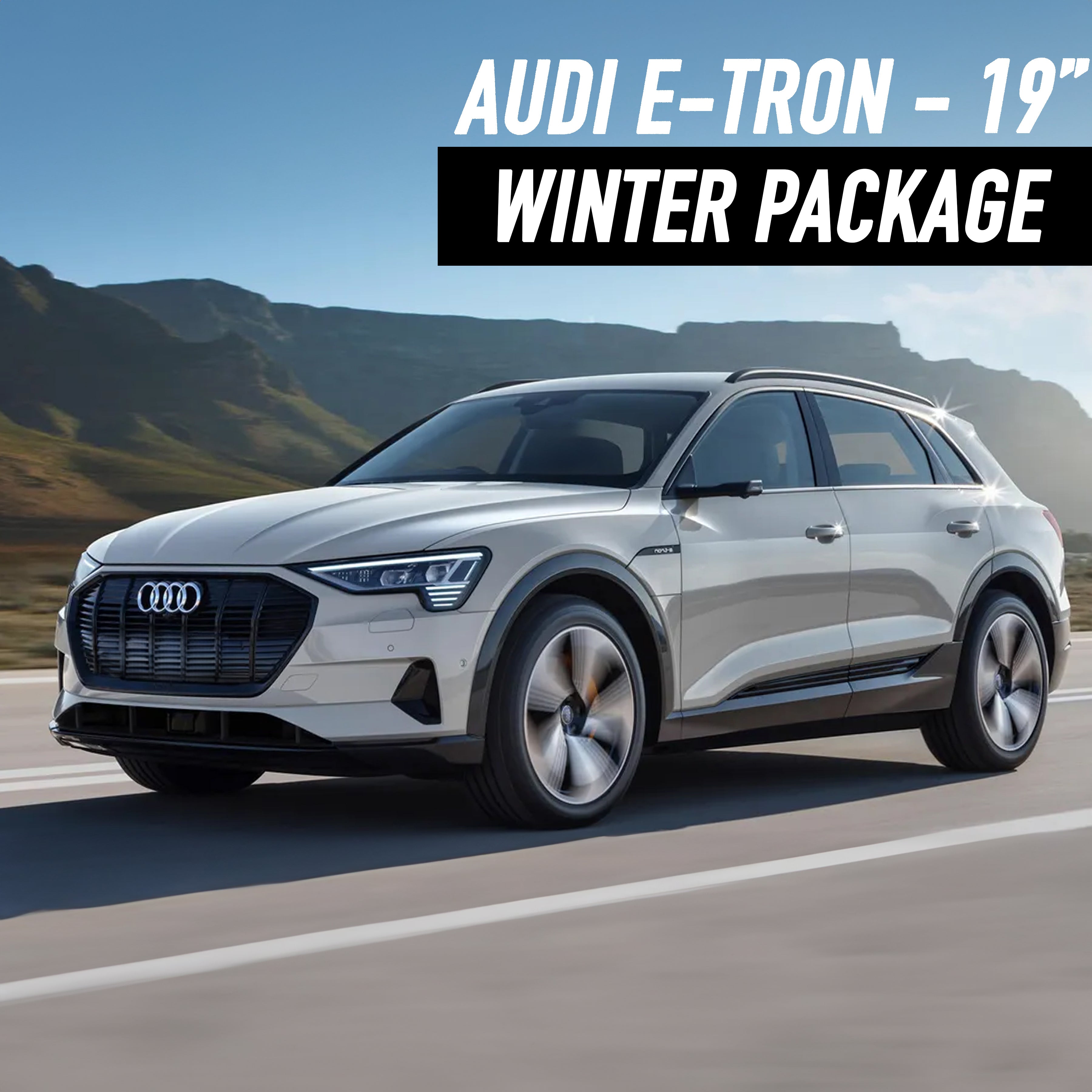 Audi e-tron (2020-2023) 19" Winter Package