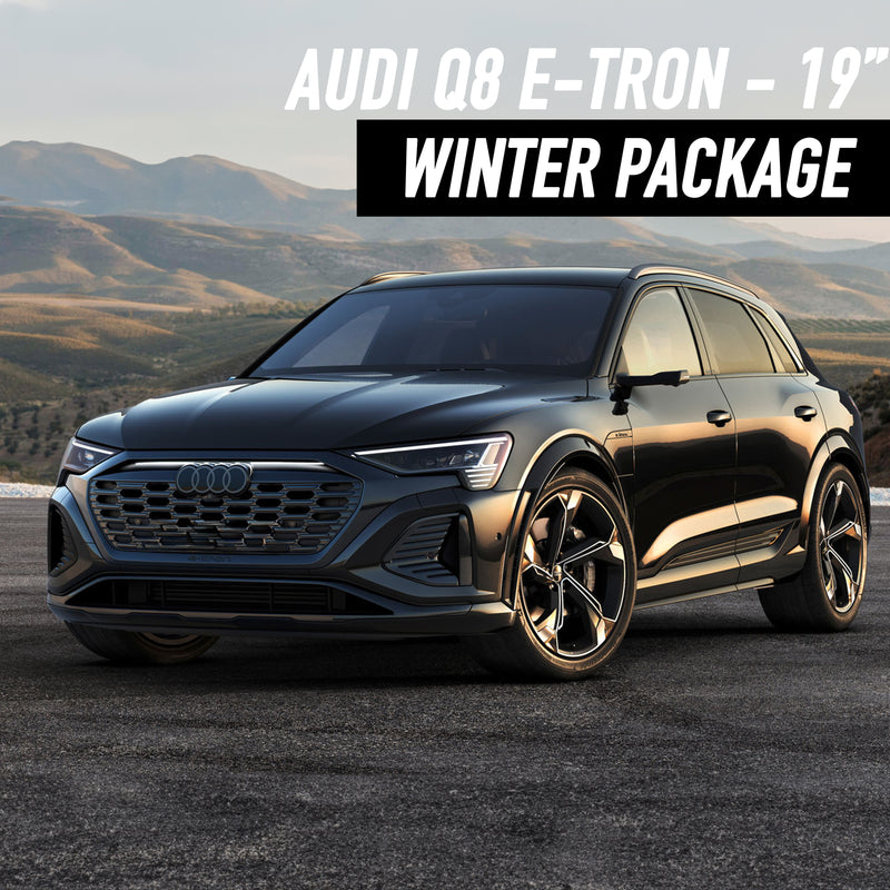 Audi Q8 e-tron 19" Winter Package