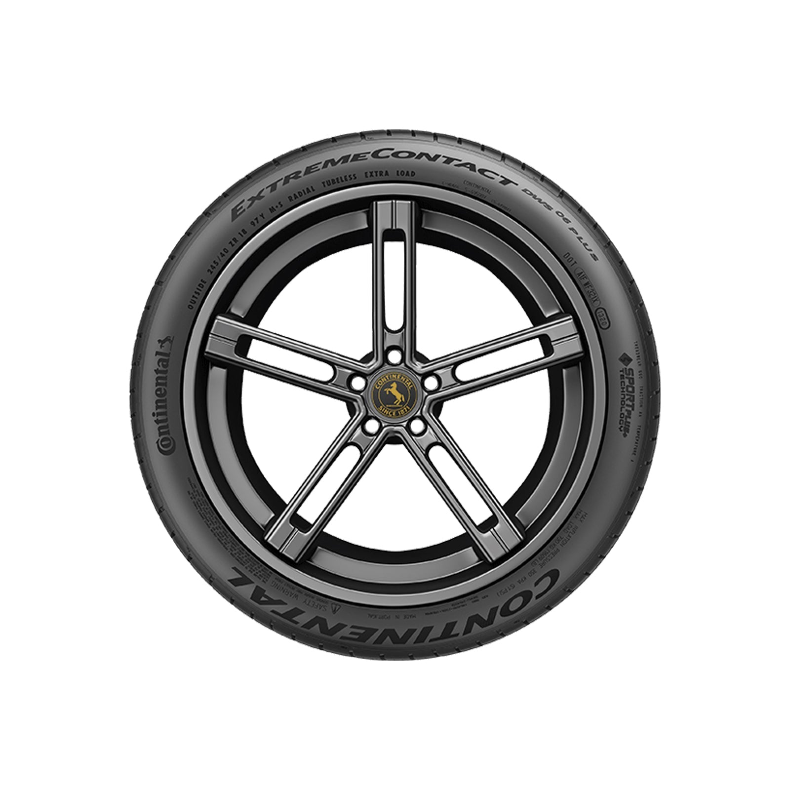 Continental ExtremeContact DWS06 Plus - 215/50R17 95W XL