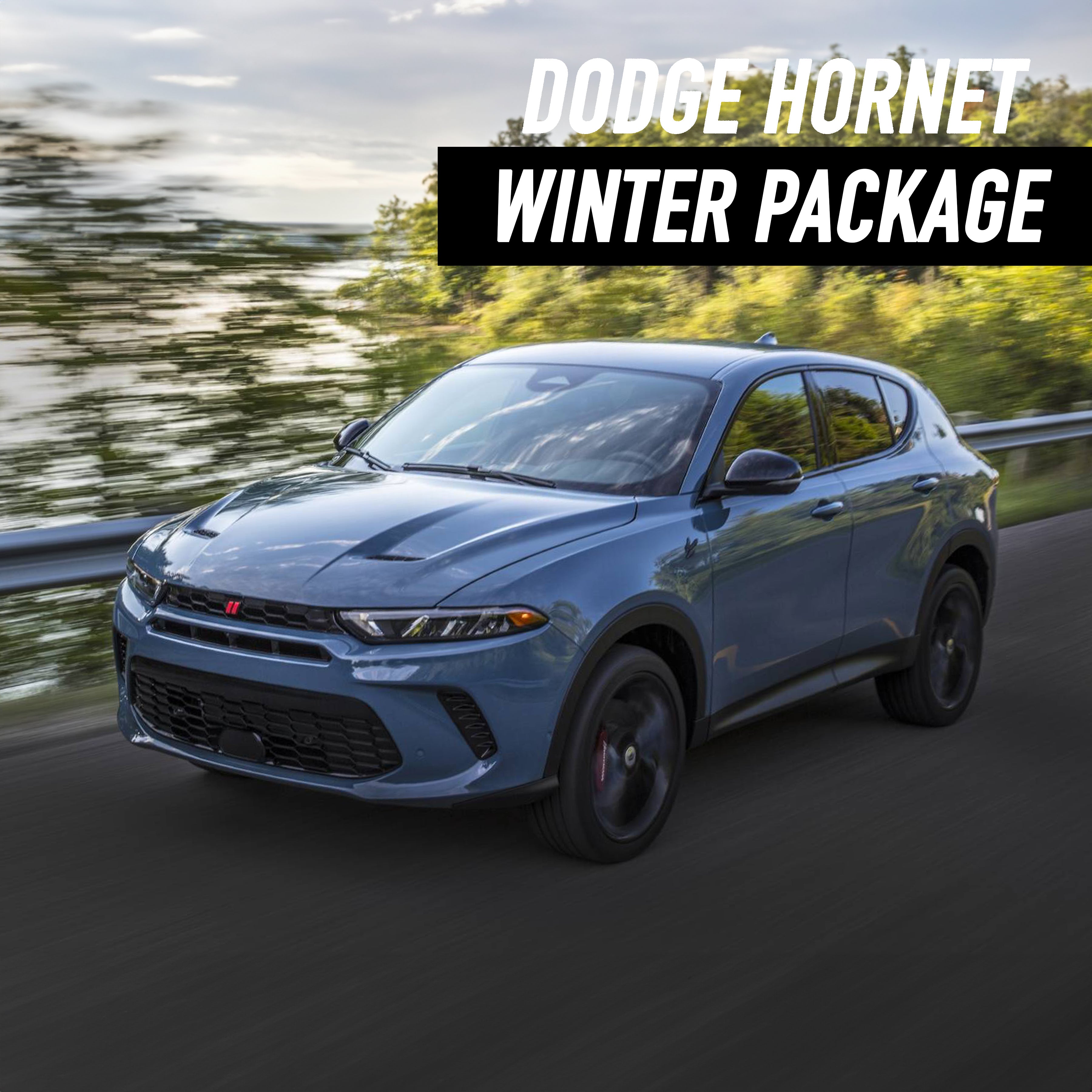Dodge Hornet Winter Package