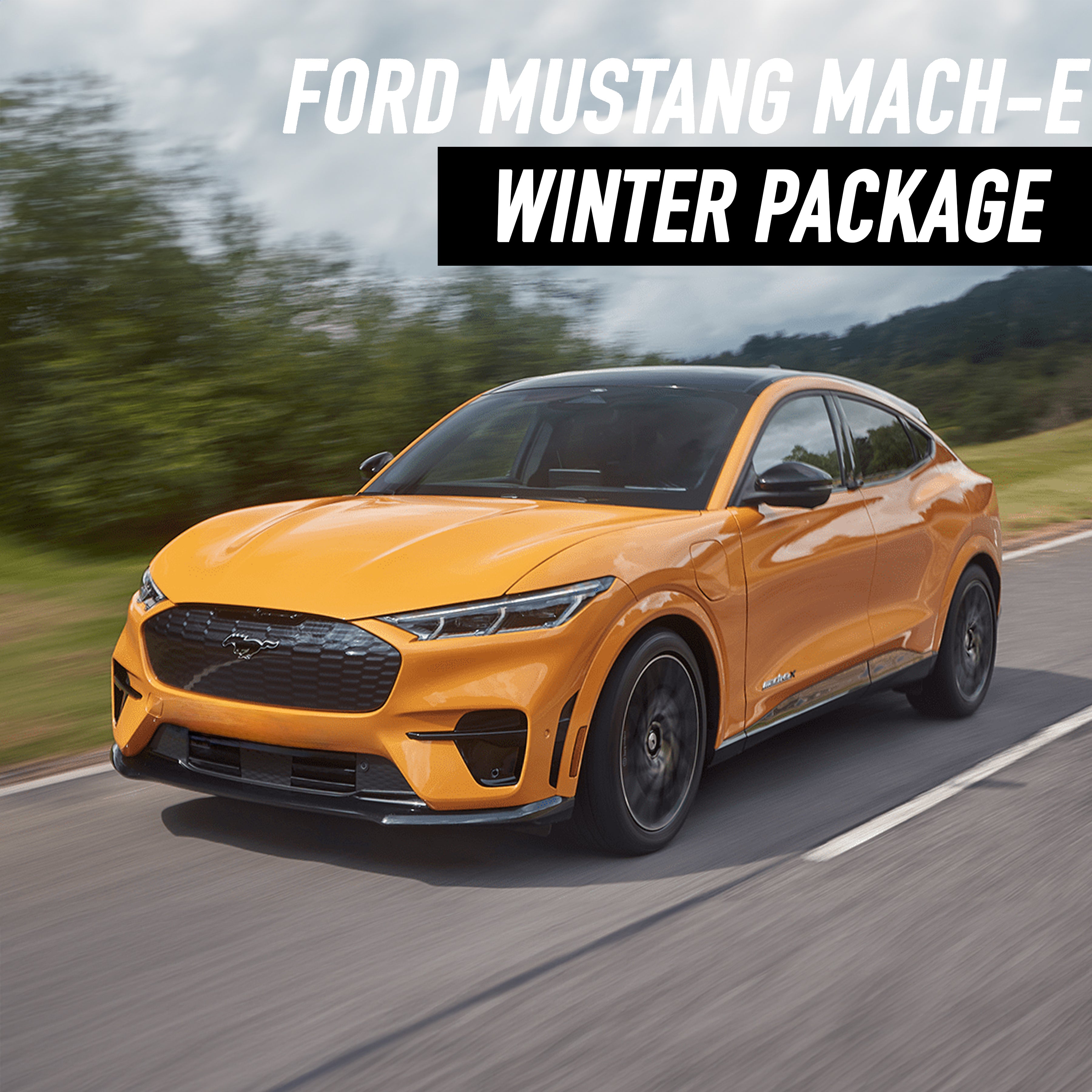 Ford Mustang Mach-E Winter Package