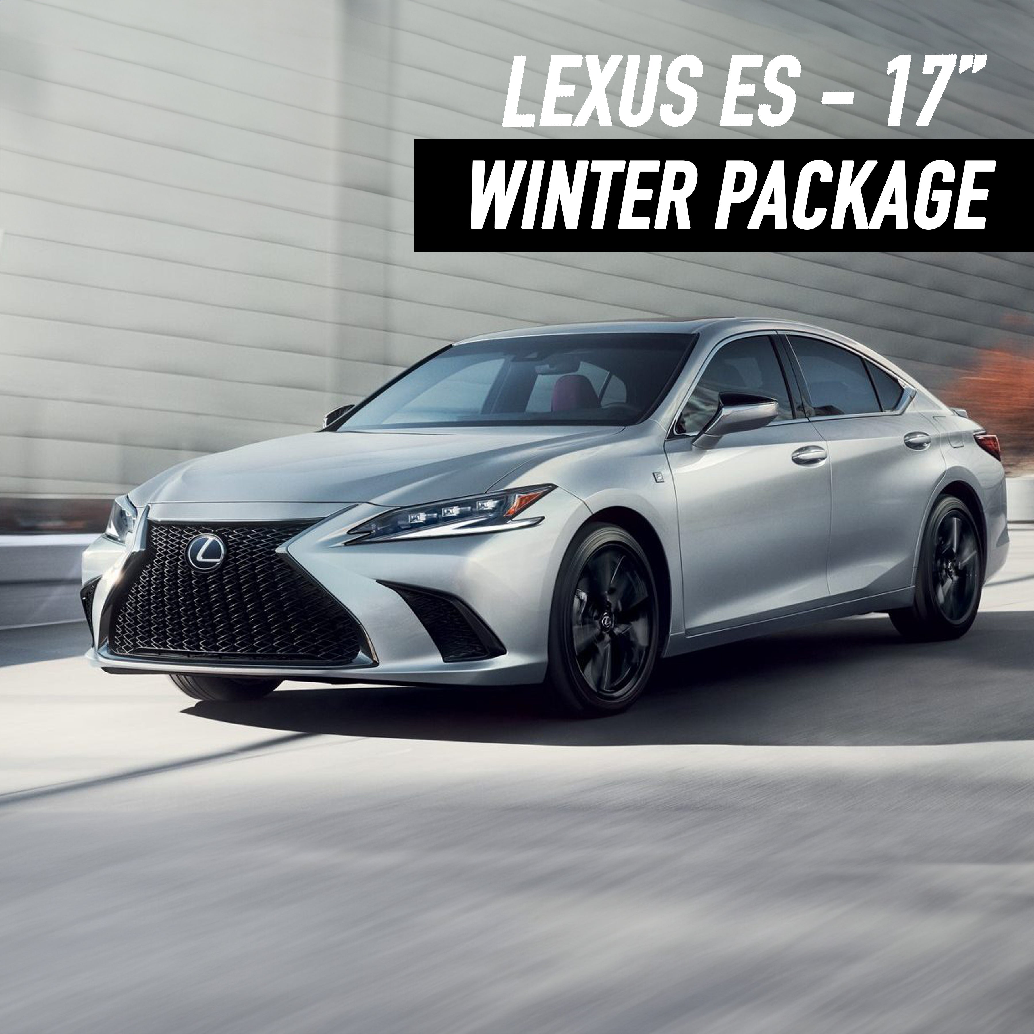 Lexus ES 17" Winter Package