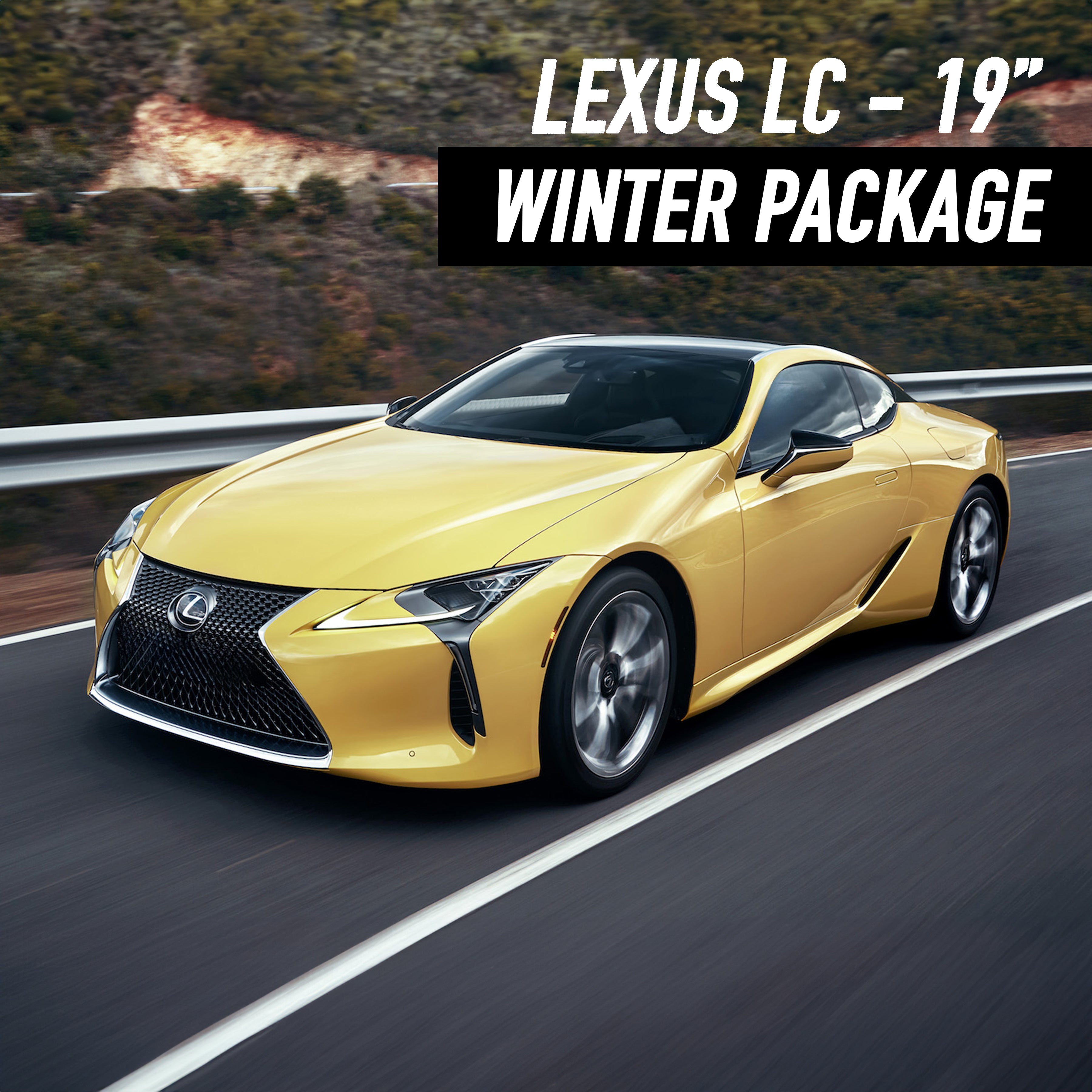 Lexus LC 19" Winter Package