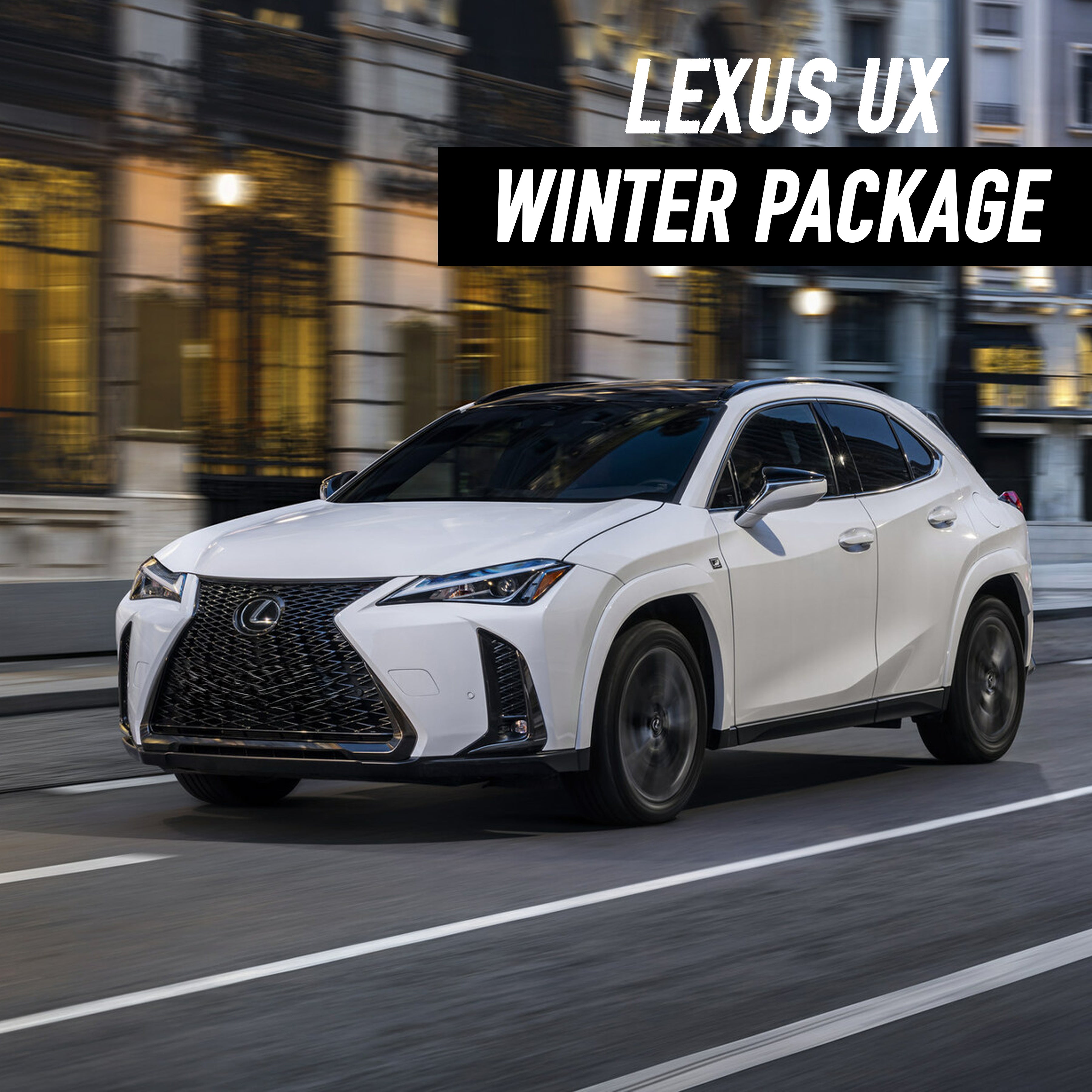 Lexus UX Winter Package