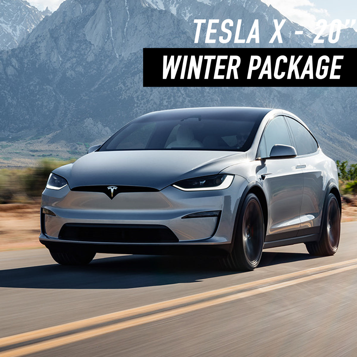 Tesla Model X 20" Winter Package
