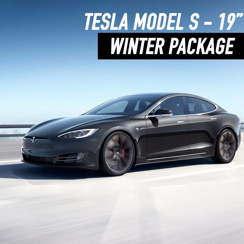 Tesla Model S 19" Winter Package