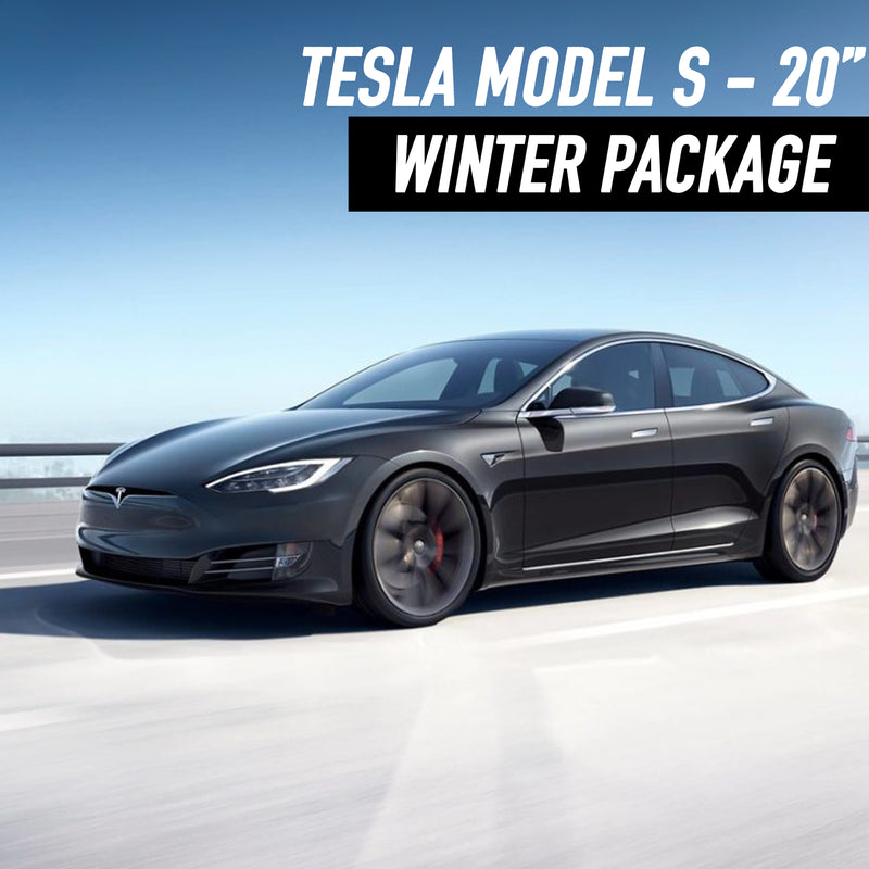 Tesla Model S 20" Winter Package