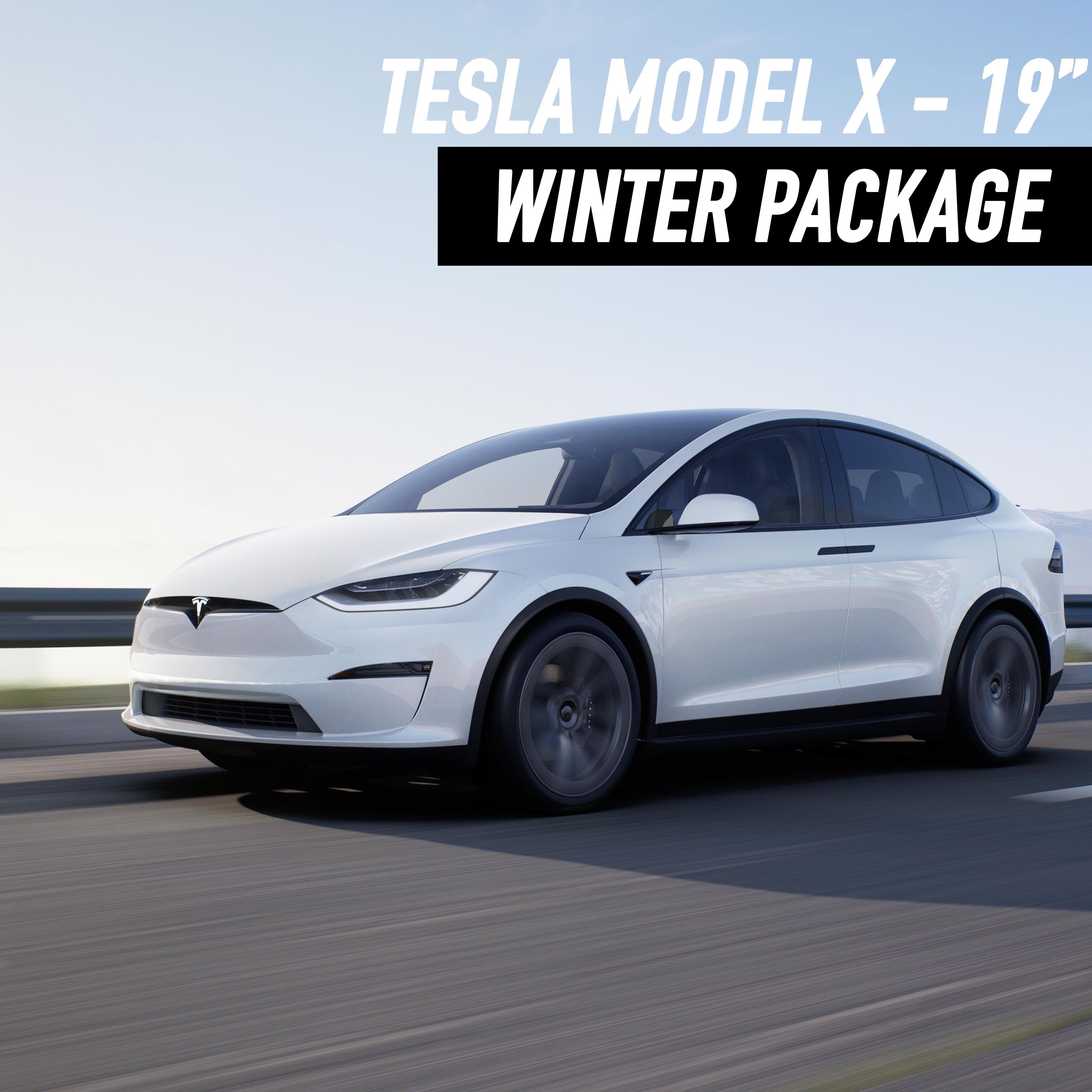Tesla Model X 19" Winter Package