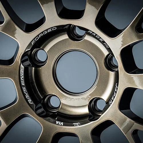 RAYS Volk Racing 21A spec-SR - 19"