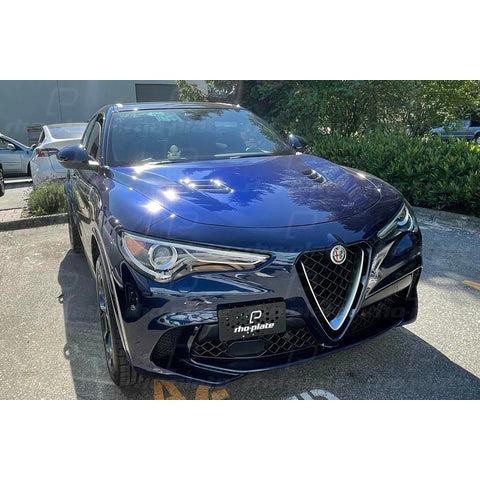 RHO-PLATE V2 - ALFA ROMEO STELVIO QUADRIFOGLIO 2018-2021 - T1 Motorsports